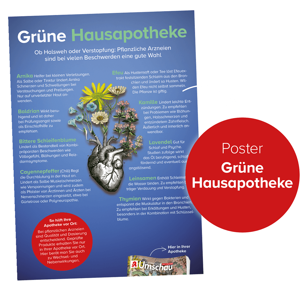 Grüne Hausapotheke
